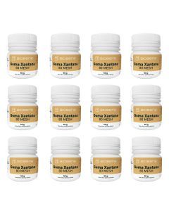 kit_goma_xantana_50g_12_unidades_biobene_ingredientes_online